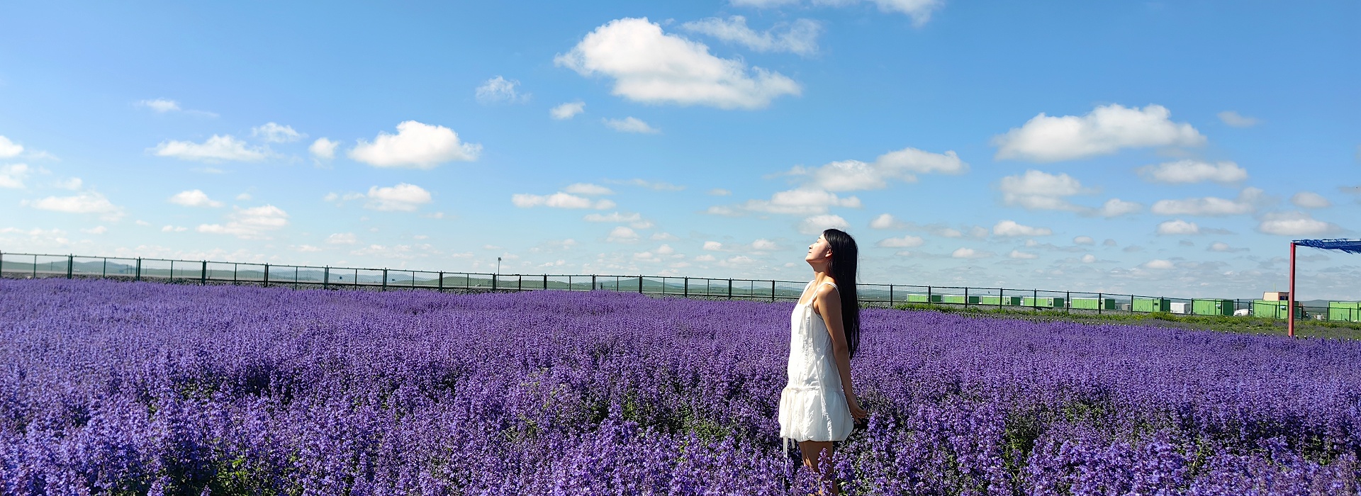 若尔盖热尔部落梅花鹿生态园景区打卡景点