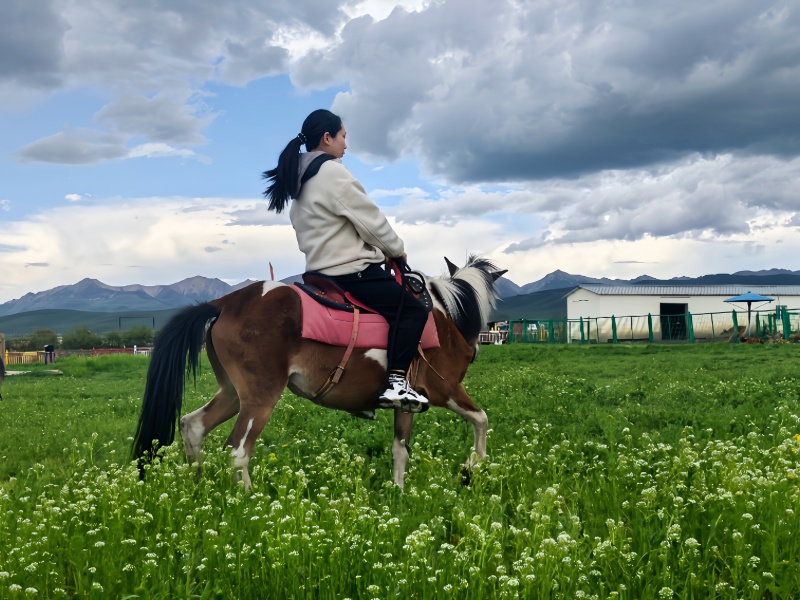 若尔盖热尔部落梅花鹿生态园景区体验项目