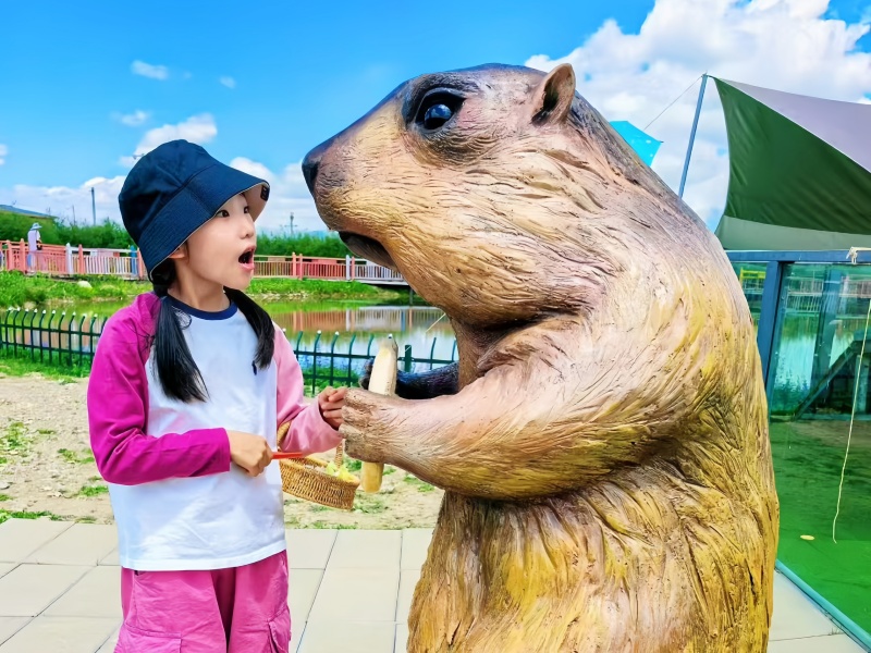 若尔盖热尔部落梅花鹿生态园景区土拨鼠互动打卡景点