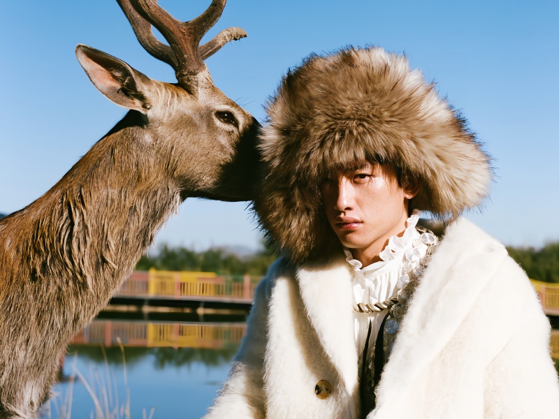 若尔盖热尔部落梅花鹿生态园景区打卡实拍图